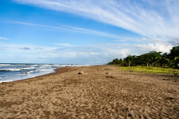 Fototapeta na wymiar Beach in Tortuguero, Costa Rica