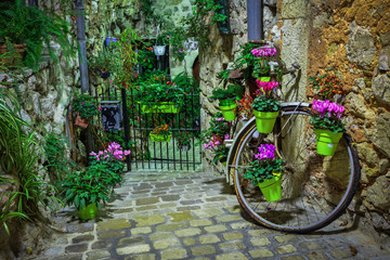 Fototapeta na wymiar Narrow cobbled street with flowers in the old village Tourrettes-sur-Loup at night, France.