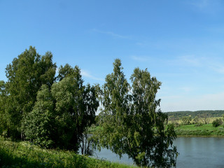 Summer field in Russia