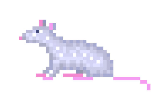 Old school 8 bit pixel art gray rat sitting on the ground isolated on white background. Retro video/pc game animal character. Slot machine graphics. Laboratory mouse icon. Pet domestic rodent symbol.