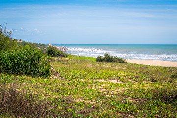 Sea view panorama. Coast of the sea. Waves and blue sky.