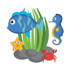 Fototapeta premium Sea life design with animals and algae vector illustration 