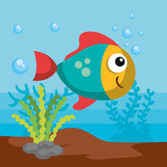 Sea life design with fish and algae vector illustration 