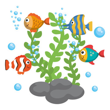 Colorful fish and algae over white background vector illustration