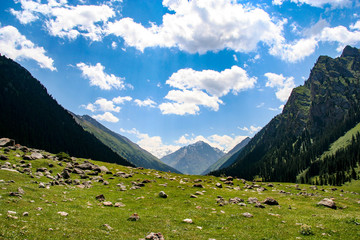 Fototapeta premium Beautiful landscape in Kyrgyzstan