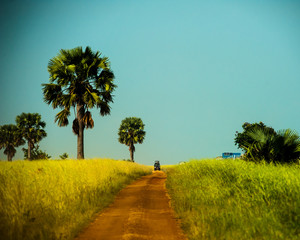 Antelope, Uganda