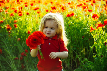 cute little boy on poppy field in hot summer