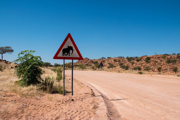 Elephant crossing outside Swakopmund in Damaraland, Namibia