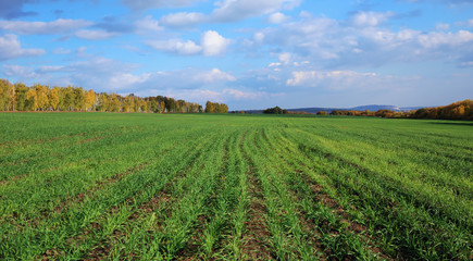 Fototapeta na wymiar Agricultural fields and meadows