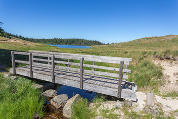Fototapeta premium un pont de bois au dessus d'un ruisseau de montagne