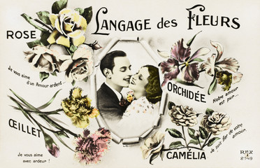 Fototapeta premium Flower Languages and Variations in French. Date: 1950s