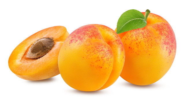 apricot isolated on white