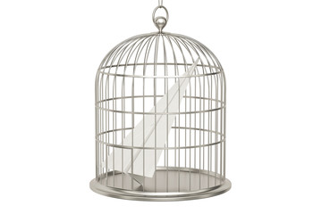 Bird cage with paper plane, 3D rendering