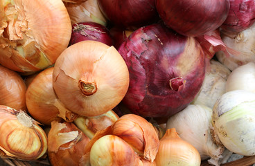 organic Red and white onions