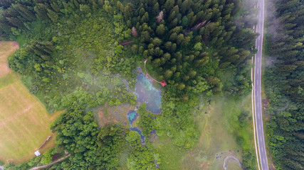 Aerial view of a forest with lake.