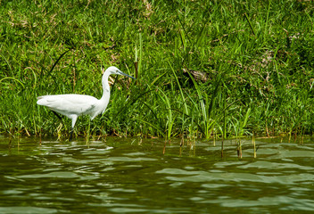 Lake Mburo Park, Uganda