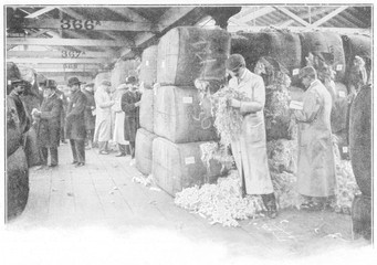 Buyers sampling wool at London Docks. Date: 1900