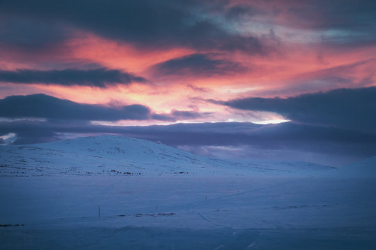 Arctic sunset 
