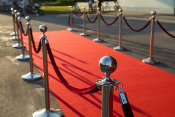 Long red carpet between rope barriers on VIP entrance.