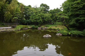 Fototapeta na wymiar 日本庭園/神奈川県平塚総合公園