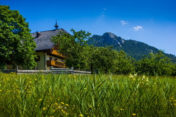 Fototapeta premium Austrian Alps