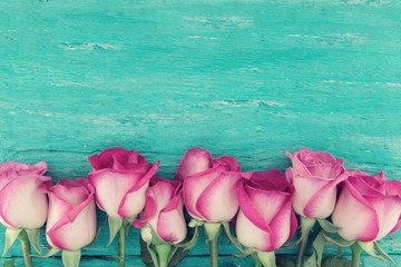 Frame of pink roses on turquoise rustic wooden background with copy space for message. Greeting...