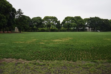 公園の風景/神奈川県平塚総合公園