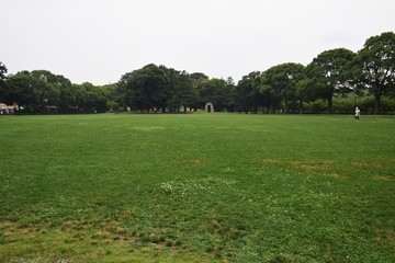 公園の風景/神奈川県平塚総合公園