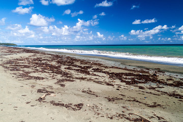 Beach at the mouth of Rio Toa river near Baracoa, Cuba