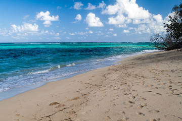 Obraz premium Playa Maguana beach near Baracoa, Cuba