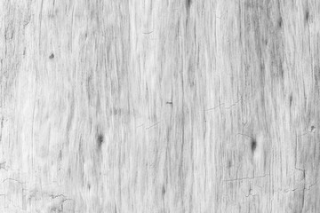 Obraz premium White wood texture background blank for design