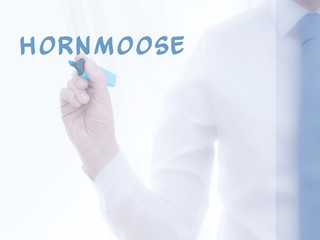 Hornmoose