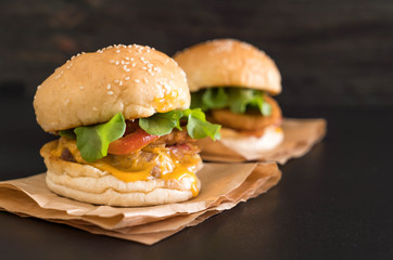 Close-up of home made fresh tasty burger