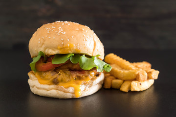 Close-up of home made fresh tasty burger
