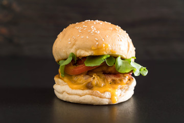 Close-up of home made fresh tasty burger