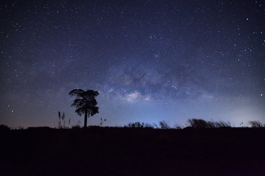 Milky Way and silhouette of tree. Long exposure photograph.With grain