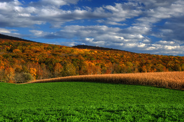 Fall Harvest Shenandoah 
