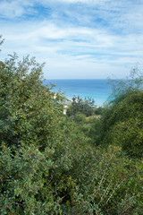 Fototapeta na wymiar Coast, beach in vignette of greenery. Background. Cyprus. Cape Greco. Ayia Napa