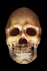 scary skull / fake skull in below lighting on black background
