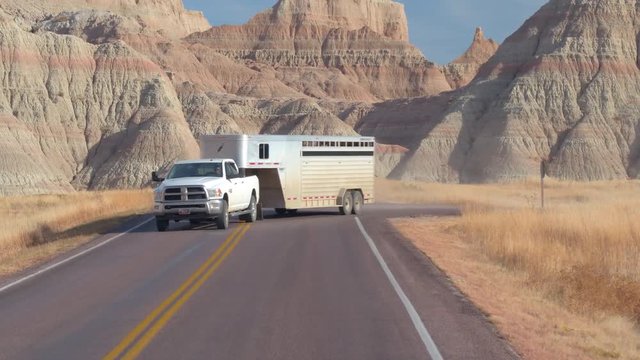 Pickup Cars With Livestock Trailers Driving Along The Winding Road Through Badlands Landscape With Sandstone Formations And Dry Yellow Grass. Live Cattle Transportation Through Prairie In Great Plains