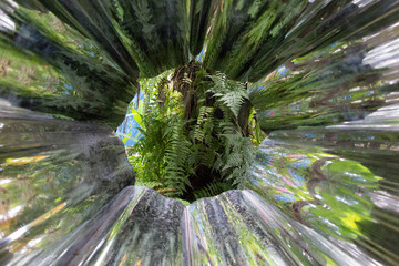 Looking at Foliage Through Circular Sculpture