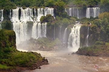 Fototapeta premium Iguassu Falls