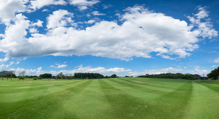 Panorama of sky clouds and grass on meadow in summer
