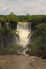 Fototapeta premium Iguassu Falls