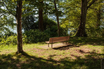 Photo of relaxing bench overlooking the ocean at Stanley Park, Vancouver, BC