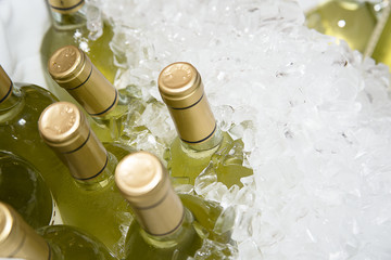 Wine Bottles on Ice