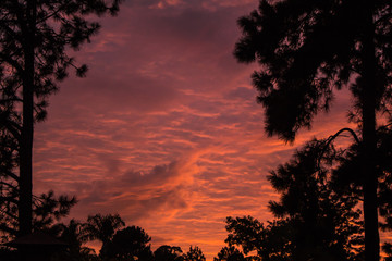 Photo of beautiful cloudy sunrise