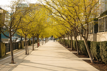 Photo of Downtown Vancouver empty sidewalk