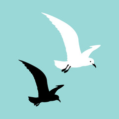 seagull   vector illustration style Flat black silhouette