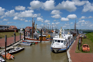 Ditzuim in ostfriesland © Stephan Sühling